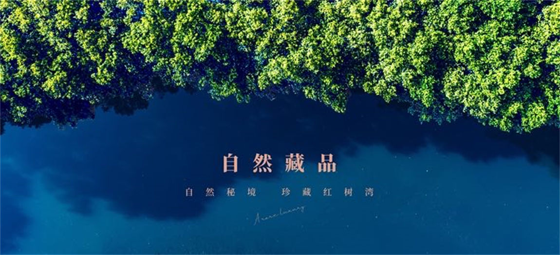 中信城开·红树湾
