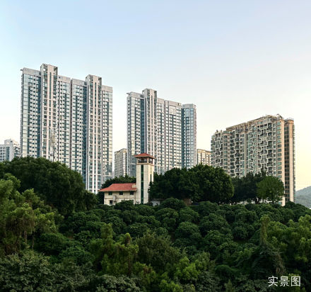 百合世纪广场