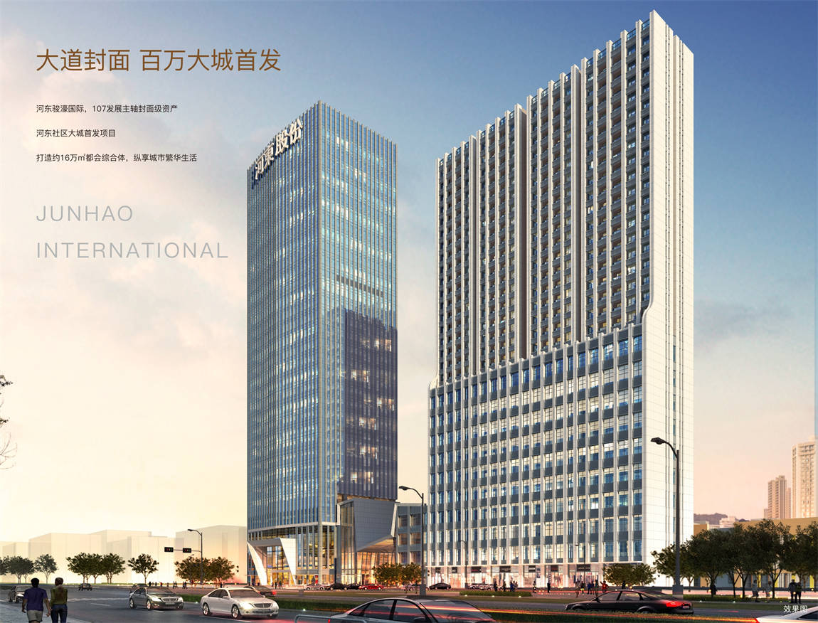 河东骏濠国际