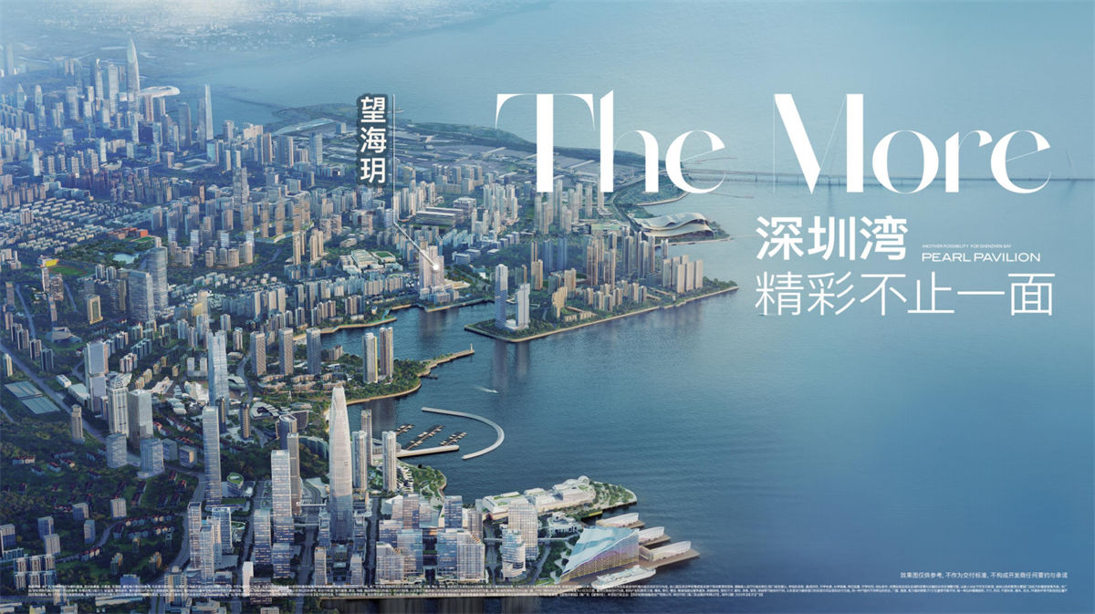 招商望海玥